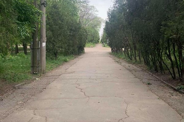 Дюковский парк в Одессе станет приятней: коммунальщики приступили к уборке  фото 3