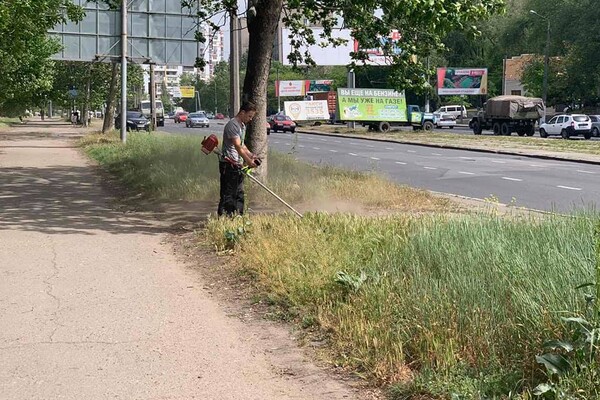 Дюковский парк в Одессе станет приятней: коммунальщики приступили к уборке  фото 11
