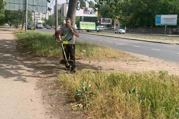 Дюковский парк в Одессе станет приятней: коммунальщики приступили к уборке  фото 12