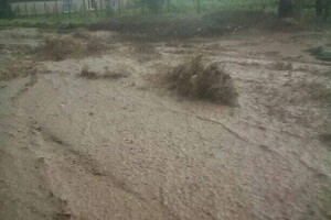 Прошел ливень: на юге Одесской области настоящий потоп фото