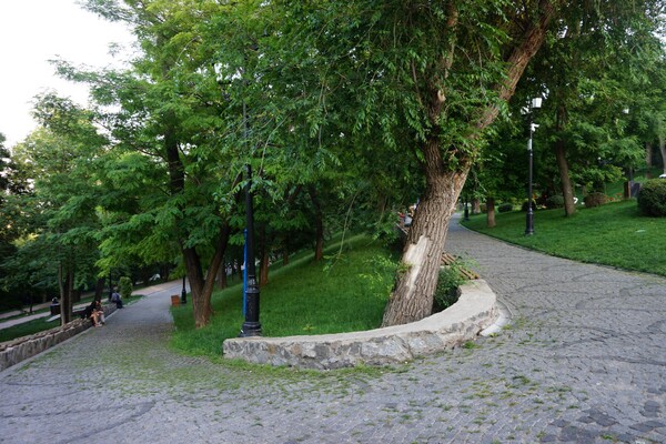 Парки под Приморским бульваром: что делать в Греческом и Стамбульском  фото 79