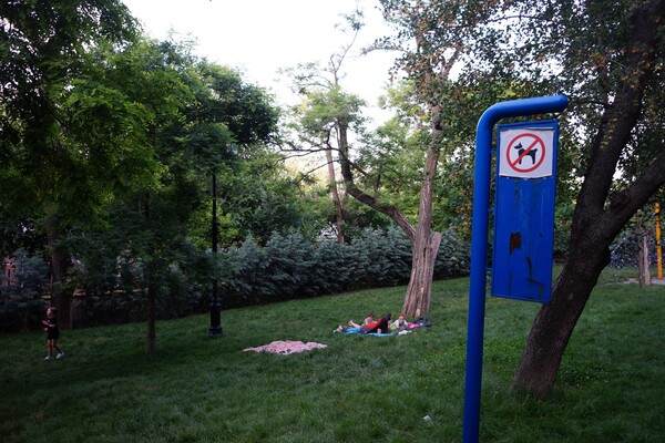 Парки под Приморским бульваром: что делать в Греческом и Стамбульском  фото 133