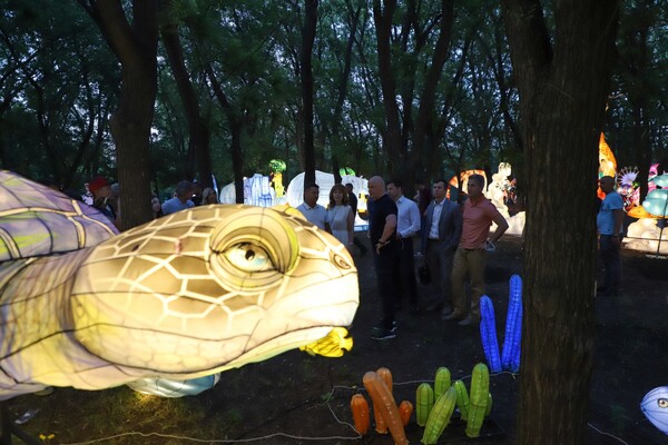 Сотни китайских огней и пропуск только в масках: что за мероприятия проходят в Савицком парке фото 11