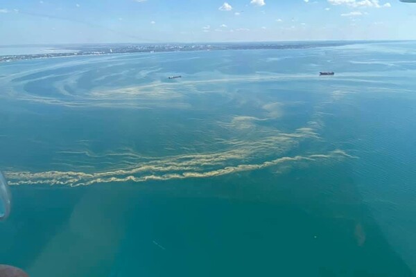 Опасно: цветущее одесское море показали с высоты фото