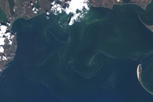 Опасно: цветущее одесское море показали с высоты фото 2