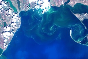 Опасно: цветущее одесское море показали с высоты фото 3