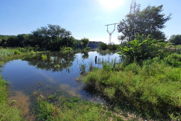 Наводнение в Одесской области: ждать ли потопа фото 1