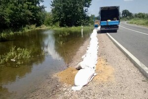Наводнение в Одесской области: ждать ли потопа фото 11