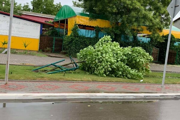 Непогода: в Одессе из-за ветра дерево покалечило мужчину, а в области выпал огромный град фото 2