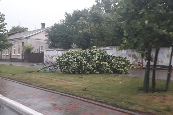 Непогода: в Одессе из-за ветра дерево покалечило мужчину, а в области выпал огромный град фото 6