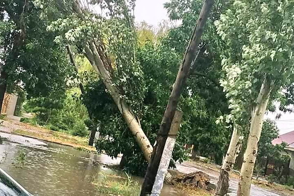 Непогода: в Одессе из-за ветра дерево покалечило мужчину, а в области выпал огромный град фото 7