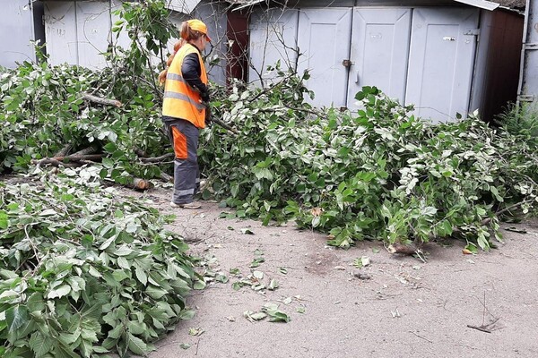 Из-за сильного ветра в Одессе упали 111 деревьев: пострадали два человека (обновлено) фото 2