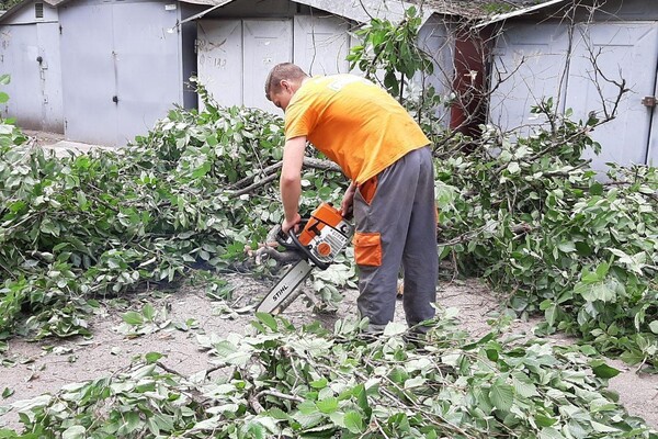 Из-за сильного ветра в Одессе упали 111 деревьев: пострадали два человека (обновлено) фото 6