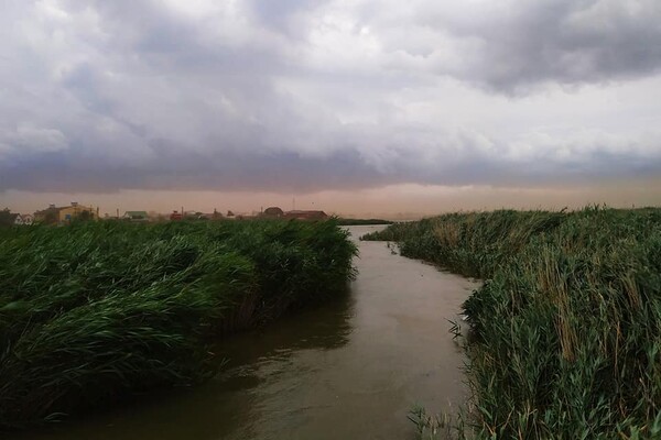 Пугающее зрелище: под Одессой пронеслась песчаная буря фото 1