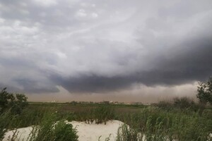 Пугающее зрелище: под Одессой пронеслась песчаная буря фото 3
