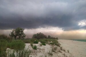 Пугающее зрелище: под Одессой пронеслась песчаная буря фото 4