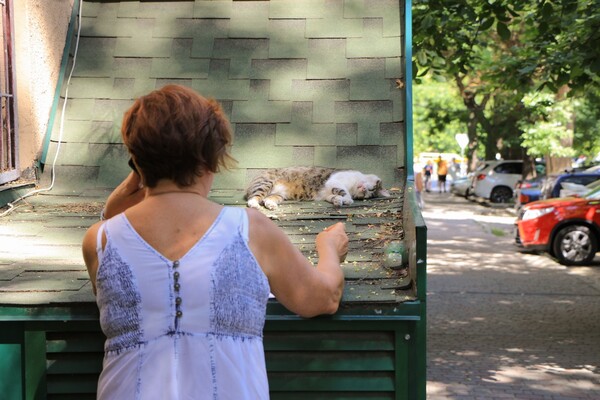 Чем занимаются отдыхающие в Одессе: фоторепортаж  фото 12