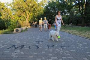 Чем занимаются отдыхающие в Одессе: фоторепортаж  фото 36