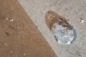 В Одессе хулиганы кидали камни в трамваи: разбиты стекла и ранен водитель фото