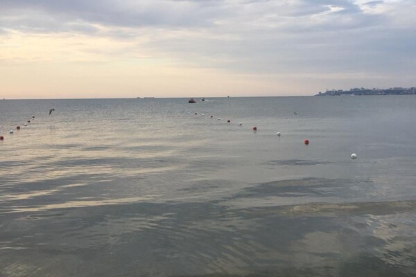 Состояние воды на одесских пляжах: где не рекомендуют купаться  фото