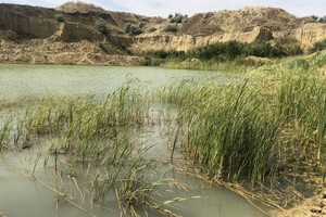 Оазис посреди степи: в карьере под Одессой появилось живописное озеро  фото 10