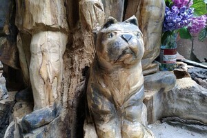 Скульптура из древнего тополя: что посмотреть во дворике на Успенской фото 3