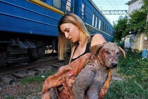 На одесскую зоозащитницу напала собака: девушка в реанимации фото 2