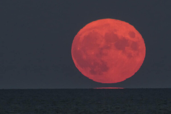 Ночью одесситы любовались огромной красной луной: фотофакт  фото