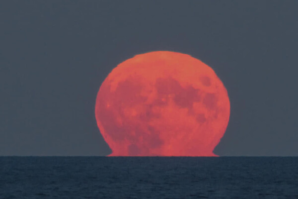 Ночью одесситы любовались огромной красной луной: фотофакт  фото 2