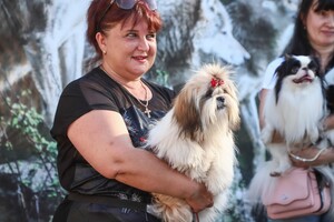 Кубок мэра: в Одессе выбрали самую красивую собаку фото