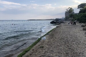 Полупустой пляж и опасный склон: все про одесскую Черноморку  фото 79