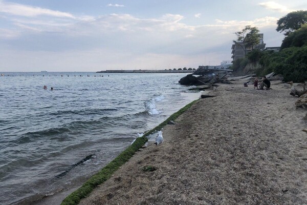 Полупустой пляж и опасный склон: все про одесскую Черноморку  фото 132