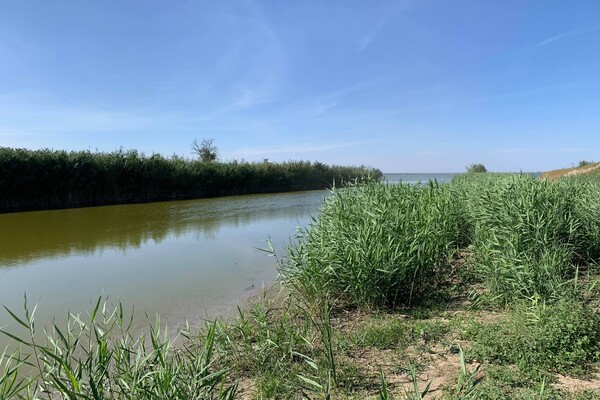 В Одесской области спасают озеро: воду перекачивают из Дуная фото 4