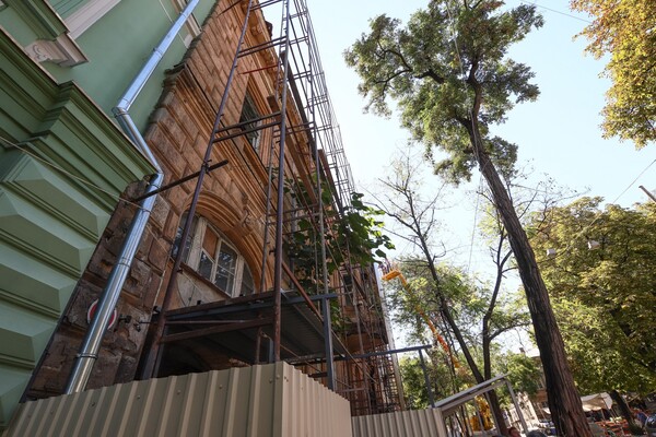 Ожидаем ремонт: на Доме Гоголя установили строительные леса фото 7