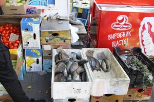 Рыба на полу с привкусом фумигатора: в центе Запорожья разогнали стихийщиков фото 1