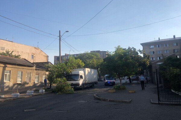 Мешало проехать &quot;скорой&quot;: в центре Одессы упавшее дерево перекрыло дорогу фото