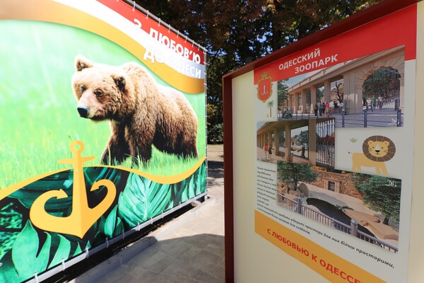 Арка, пруд и фламинго: как выглядит новый вход в Одесский зоопарк фото