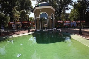 Арка, пруд и фламинго: как выглядит новый вход в Одесский зоопарк фото 9