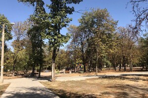 Бывшее кладбище и ботанические памятники: чем интересен сквер Старостина в Одессе  фото