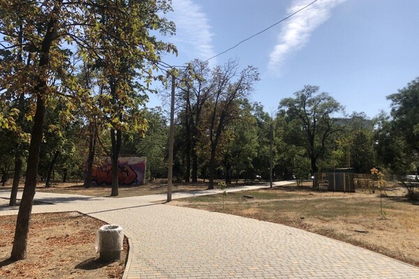 Бывшее кладбище и ботанические памятники: чем интересен сквер Старостина в Одессе  фото 2