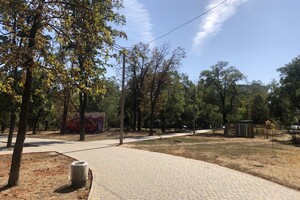 Бывшее кладбище и ботанические памятники: чем интересен сквер Старостина в Одессе  фото 7