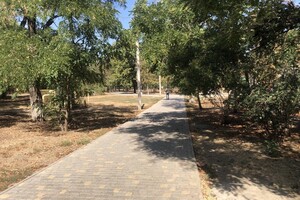 Бывшее кладбище и ботанические памятники: чем интересен сквер Старостина в Одессе  фото 45