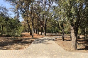 Бывшее кладбище и ботанические памятники: чем интересен сквер Старостина в Одессе  фото 91