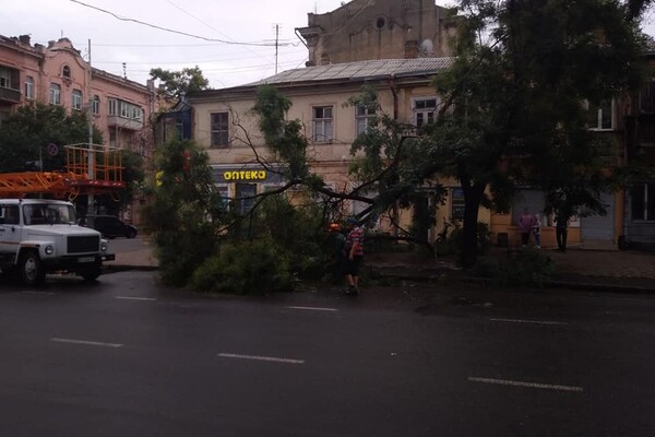Горы веток и упавшие деревья: чем закончился шторм в Одессе фото