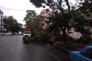 Горы веток и упавшие деревья: чем закончился шторм в Одессе фото 2