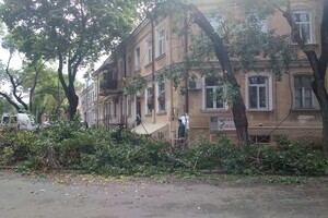 Горы веток и упавшие деревья: чем закончился шторм в Одессе фото 3