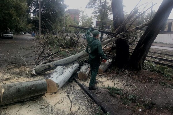 Горы веток и упавшие деревья: чем закончился шторм в Одессе фото 7