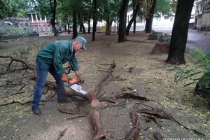 Горы веток и упавшие деревья: чем закончился шторм в Одессе фото 8