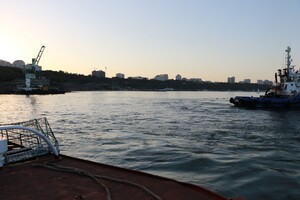 Delfi уже в Черноморске: Госэконспекция назвала сумму ущерба от танкера  фото 6