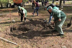 Эко-акция: в Одессе учителя высадили почти сотню деревьев  фото 4